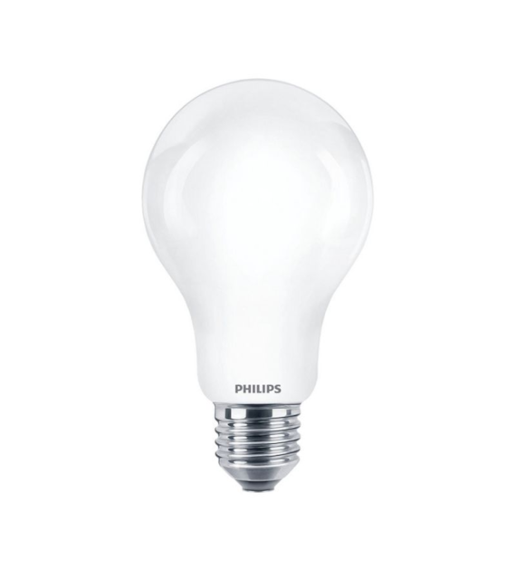 Żarówka LED E27 13W 2700K A67 (2szt)
