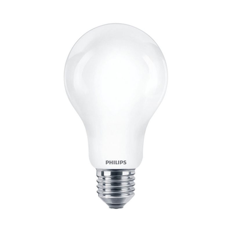 Żarówka LED E27 17,5W 6500K A67