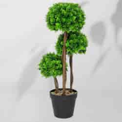 Roślina doniczkowa Drzewko topiary 5244 50 cm