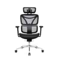 LVN System Fotel ergonomiczny Control Pro Czarny