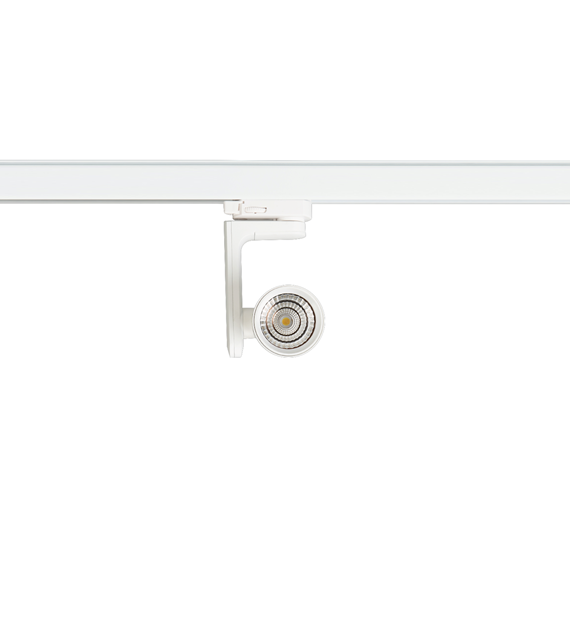 Reflektor Timor 10W 2700/4000K Biały 3 Obwodowy