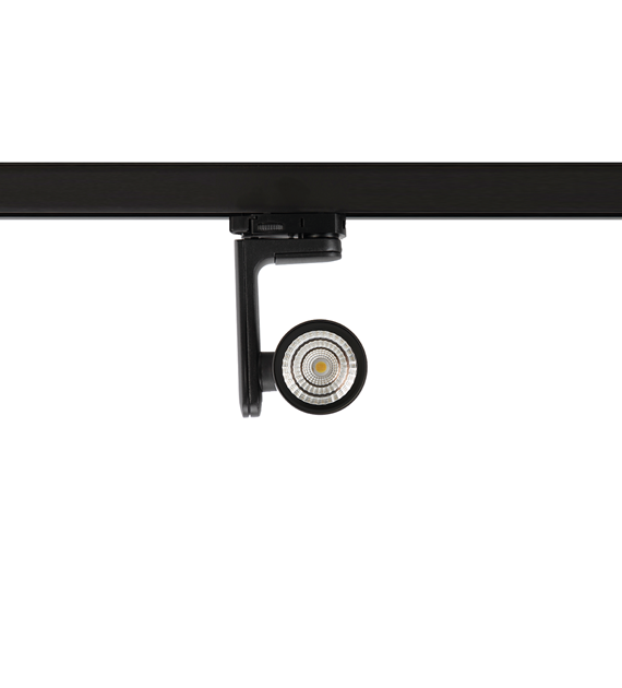 Reflektor Timor 10W 2700/4000K Czarny 3 Obwodowy