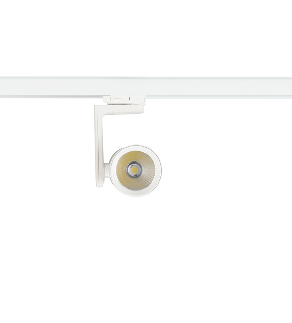 Reflektor Timor 30W 2700/4000K Biały 3 Obwodowy