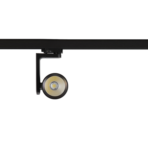 Reflektor Timor 30W 2700/4000K Czarny 3 Obwodowy