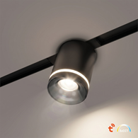 Magnetic Track 10mm Downlight 6W CCT 48V