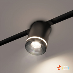 Magnetic Track 10mm Downlight 6W CCT 48V