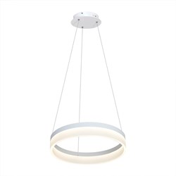 LAMPA WISZĄCA RING 24W LED