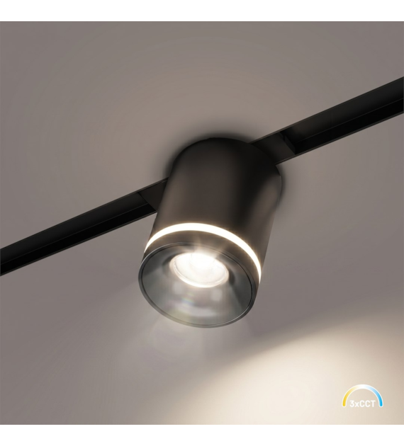 Magnetic Track 10mm Downlight 6W CCT 48V